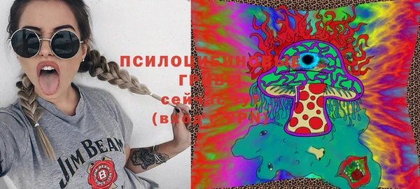 меф Медвежьегорск