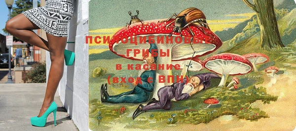 меф Медвежьегорск